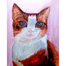 Cat Portrait 